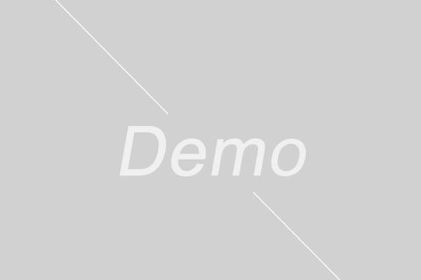 demo-horizontal-img-600x400